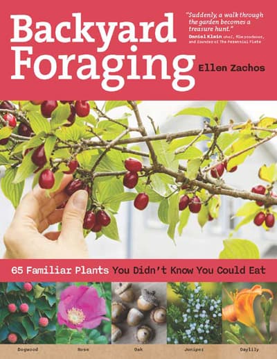 Backyard Foraging book by Ellen Zachos