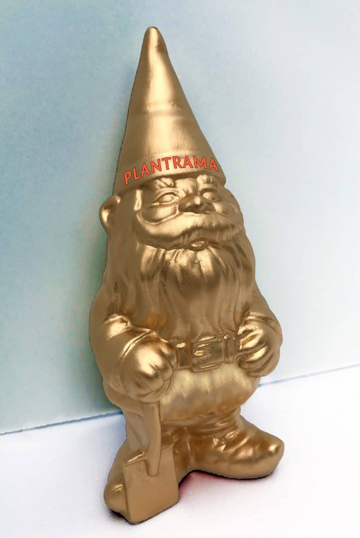 Golden Gnome Award