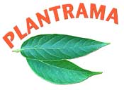 Plantrama.com