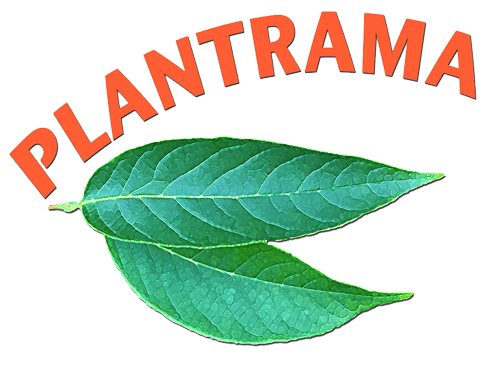 Plantrama Logo